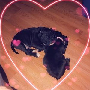 Meet your Posher, Danielle